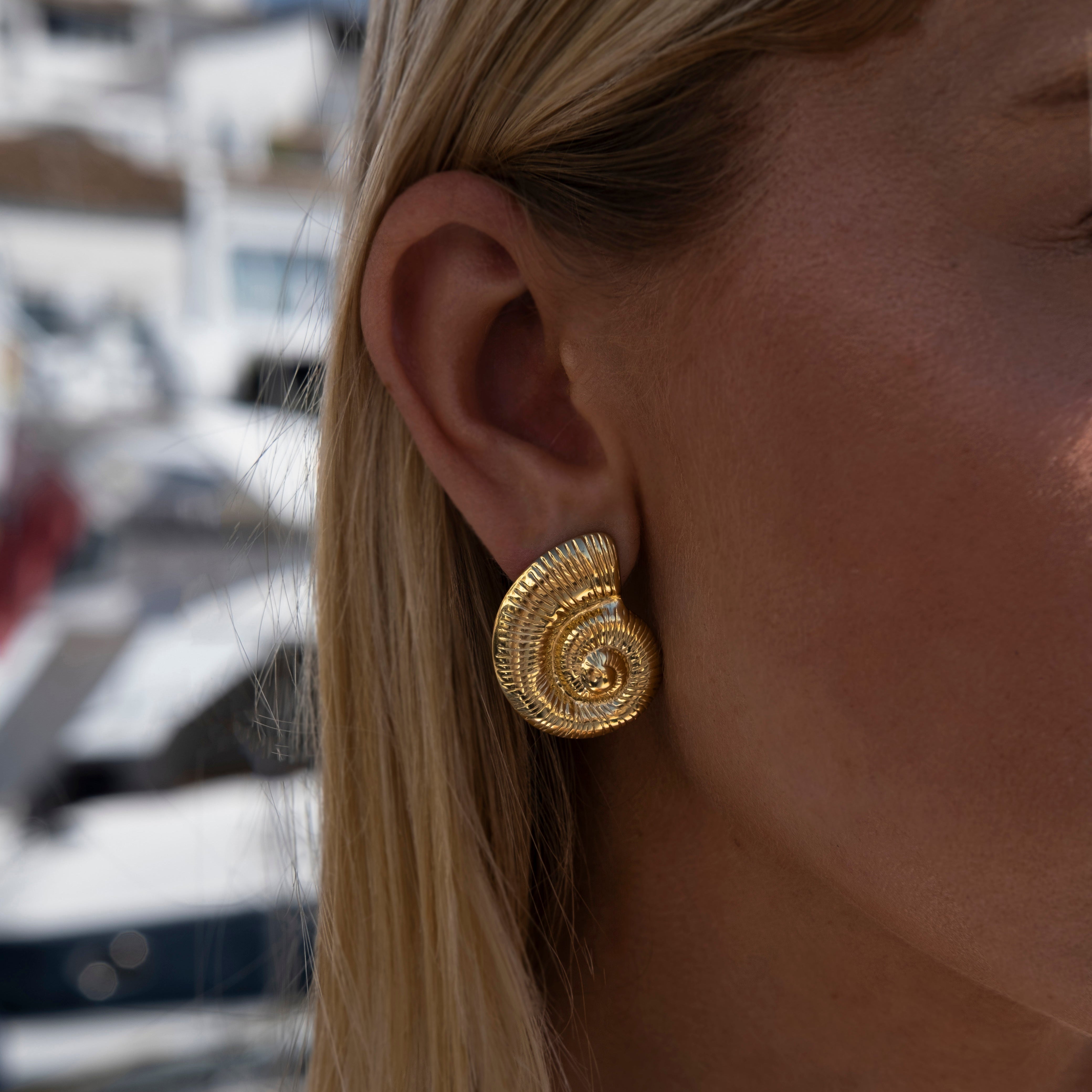 The Portofino Toric Hoops